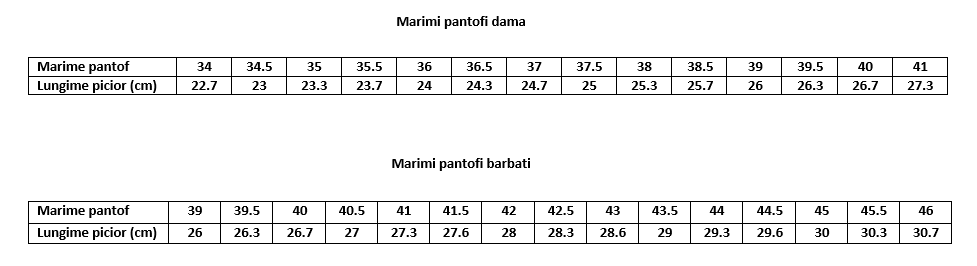 Tabel masuri incaltaminte